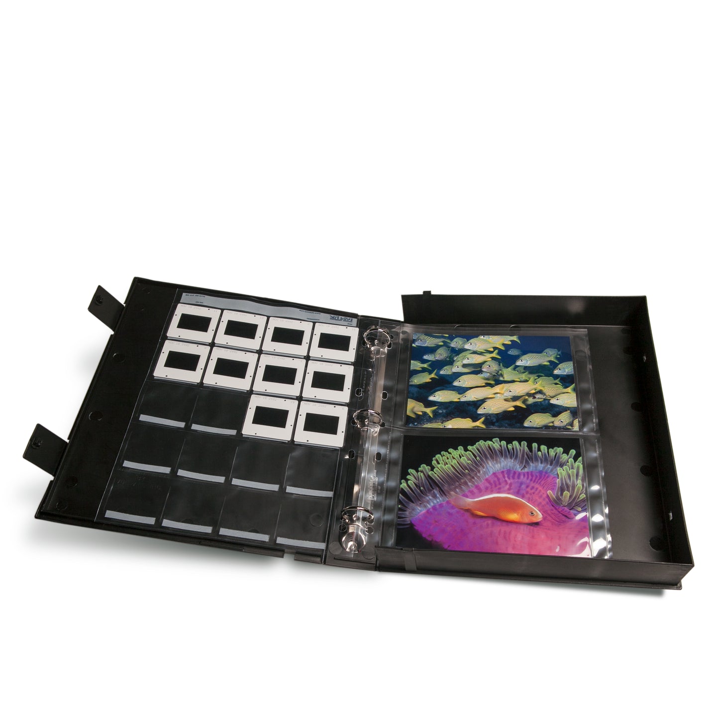 Print File Archival Box Binder