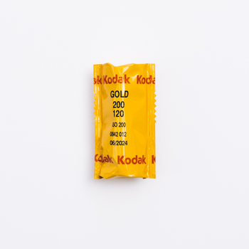 kodak gold 120